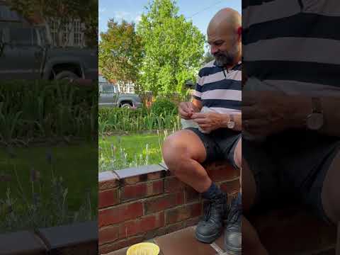 FEEDING FRIENDLY MAGPIES #magpies #Feedingmagpies