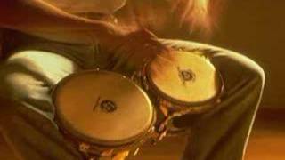 Life Is A Rock - Reunion