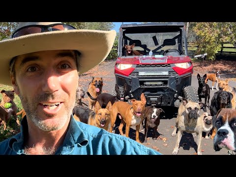 Veteran Trains and Adopts Rescue Dogs | Farm Family Simple Life | Happy Dog Videos