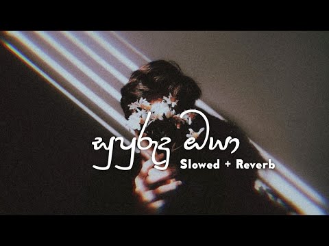 Supurudu Oya ( සුපුරුදු ඔයා ) | Shehan Perera - Slowed + Reverb 