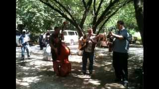 Wayne Hancock. That&#39;s what daddy wants.