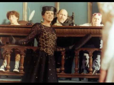 Marie Rottrová - Teraz pekne pôjdeš domov! (Neberte nám princeznú)