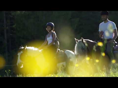 Estate a Santa Maria Maggiore: parla la natura.