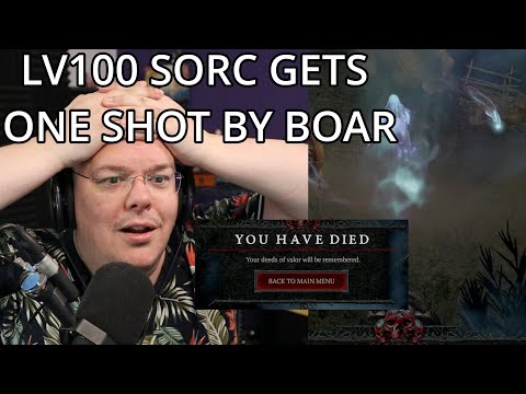100 HARDCORE SORC DIES TO BUG