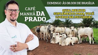 Download lagu Qual melhor suplemento para lucrar na sua pecuria? - Café da Manhã da Prado mp3
