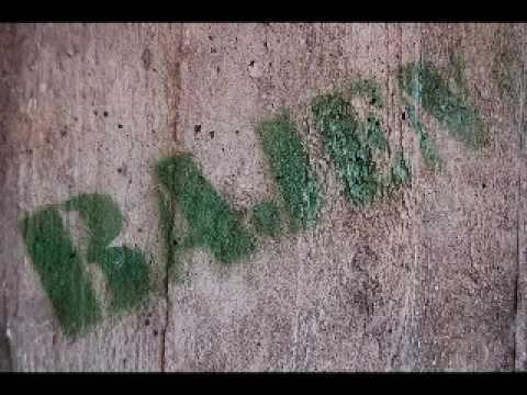 Killarna från södermannagatan 61 - Lalla Hansson