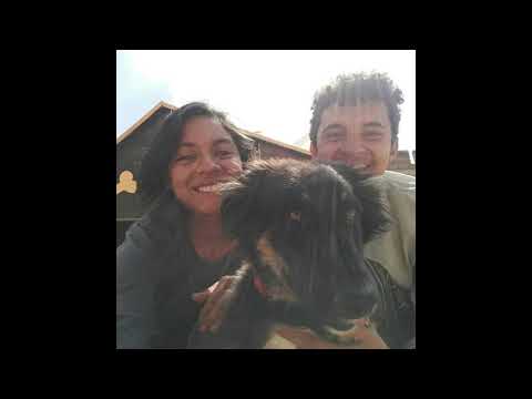 Urobme psíkom Vianoce s kalendármi Z Kanady do Argentíny