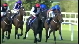 A tribute to Golden Horn {Immortals}