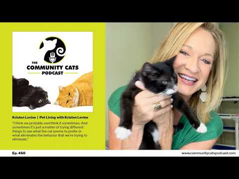 Stress in Pets with Kristen Levine, Nationally Acclaimed Pet Expert and Influencer