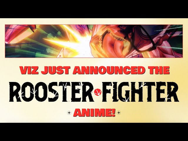 The Rooster Fighter Anime is Coming Soon!