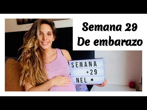 SEMANA 29 DE EMBARAZO || PLAN DE PARTO+ MEDICION DE LA BARRIGA