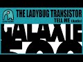 THE LADYBUG TRANSISTOR - Tell Me [Audio]