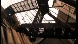 Beady Eye - the Morning son