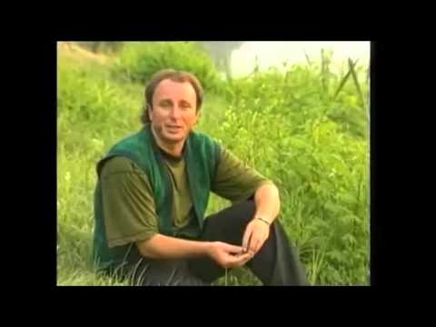 Ljubisa Stankovic Tisa - Komsika