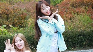 181118 네이처 (Nature) 새봄 기분 좋아 (Girls and Flowers) - 대학로 마로니에 공원 버스킹