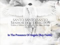 In The Presence Of Angels (Roy Fields) 