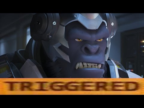 I'm Not A Monkey.........