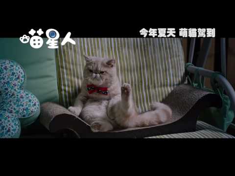 《喵星人》2017夏天 萌猫驾到