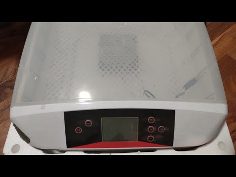 Diese Brutmaschine kann ich euch nicht empfehlen! Salinovo Incubator