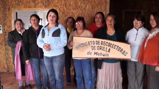preview picture of video 'Recolectoras de Orilla de Mehuín: Proyecto Sala de Proceso'