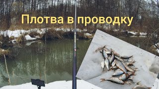 Ловля плотвы в апреле по открытой воде