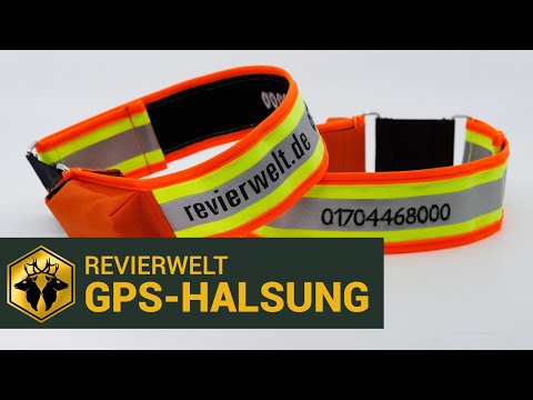 Vorstellung der REVIERWELT GPS-Hundehalsung in den Größen 40cm/60cm Halsumfang