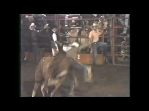 Touro Paraíso Uberlândia MG 1991(RODEIO EM TOUROS)