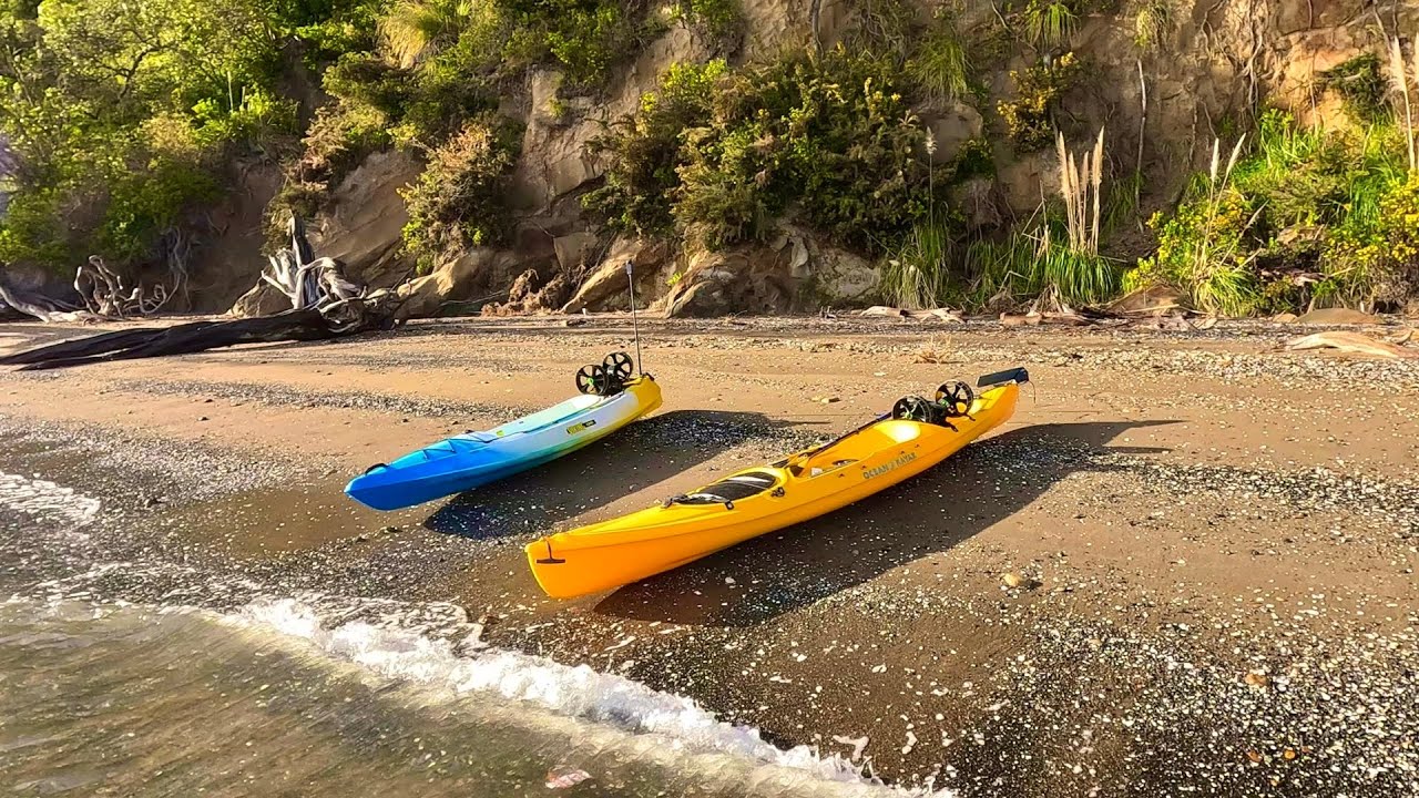 Viking Kayak Espri & Ocean Kayak Scupper Pro