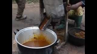 preview picture of video 'traditional way palm oil pressing in Cameroon'