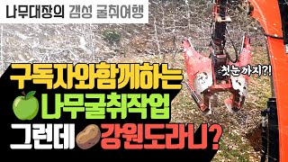 강원도 정선 구독자님과 함깨 굴취 작업 그리고 첫눈! ❄️ 나무대장의 감성이 담긴 나무굴취 여행 