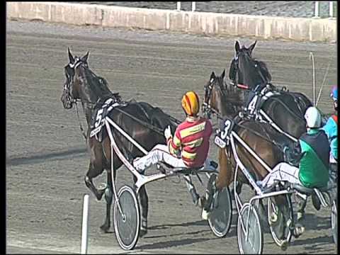 Trotto 29/04/2016 - 7° Corsa