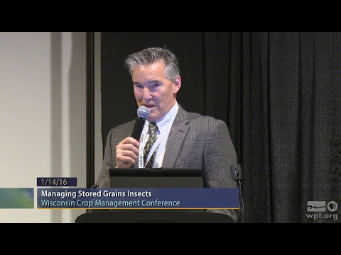 download lagu mp3 mp4 Grain Insects, download lagu Grain Insects gratis, unduh video klip Grain Insects