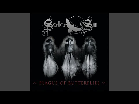 Losing the Sunsets / Plague of Butterflies / Evael 10:00