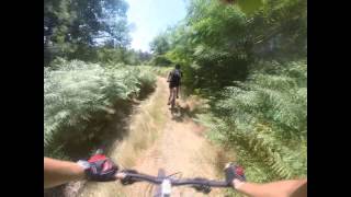 Mimizan To Arcachon 2015 (Studio Pâté)