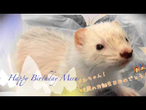 Happy Birthday Meru