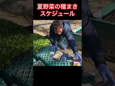 野菜の種まき：春の植え付けに備えて、今すぐ自宅で夏野菜を始めましょう！  庭園