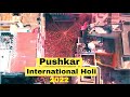 Pushkar International Holi  - Complete Tour