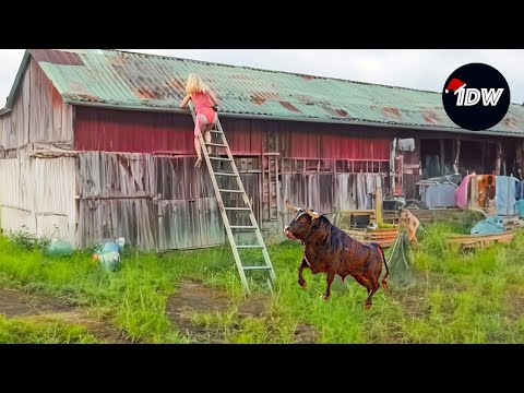 TOTAL IDIOTS AT WORK #255 | Fails of the week | Instant regret compilation 2024