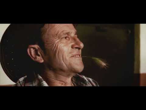 TIAN B - UNA HISTORIA DE CORRAL 