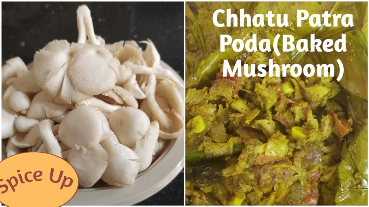 Chhatu Patra Poda | Baked Mushroom with Banana Leaf | Odia Authentic Food | Spice Up
