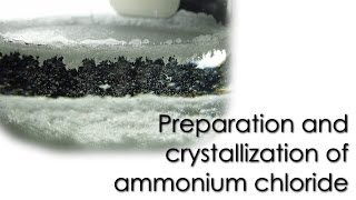 Preparation and crystallization of Ammonium Chloride