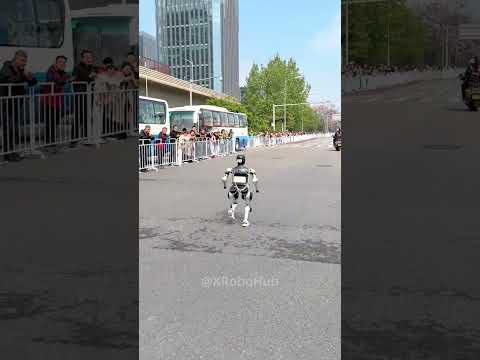 N2 (Athlete) Review Video 4