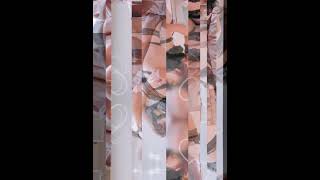 萌え萌えにゃんにゃん