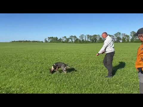 Risco z Jukasu - tracking - 5 months