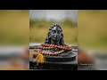 Har Har Shambhu Shiv Status