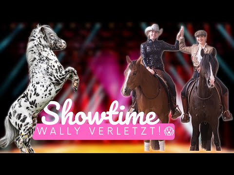 SHOWTIME & Wally gets hurt 😱😱