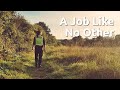 PC Recruitment The Realities Of Becoming A Police Officer