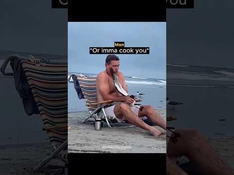 This Man Accidentally Made Friends With a Seagull 🐦‍⬛❤️ #shorts