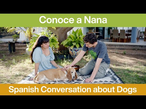 Meet Nana: A Spanish Conversation about Pets with Juan and Aiko
