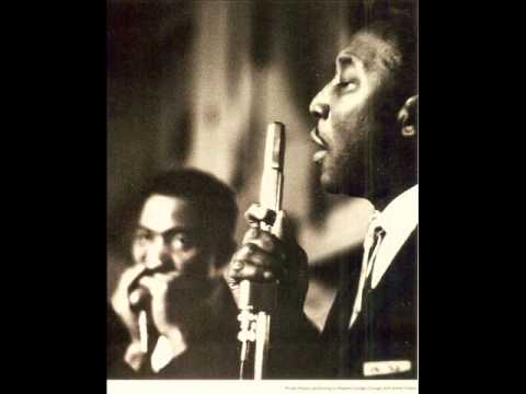 Muddy Waters (Live 1958) - I Feel Like Going Home